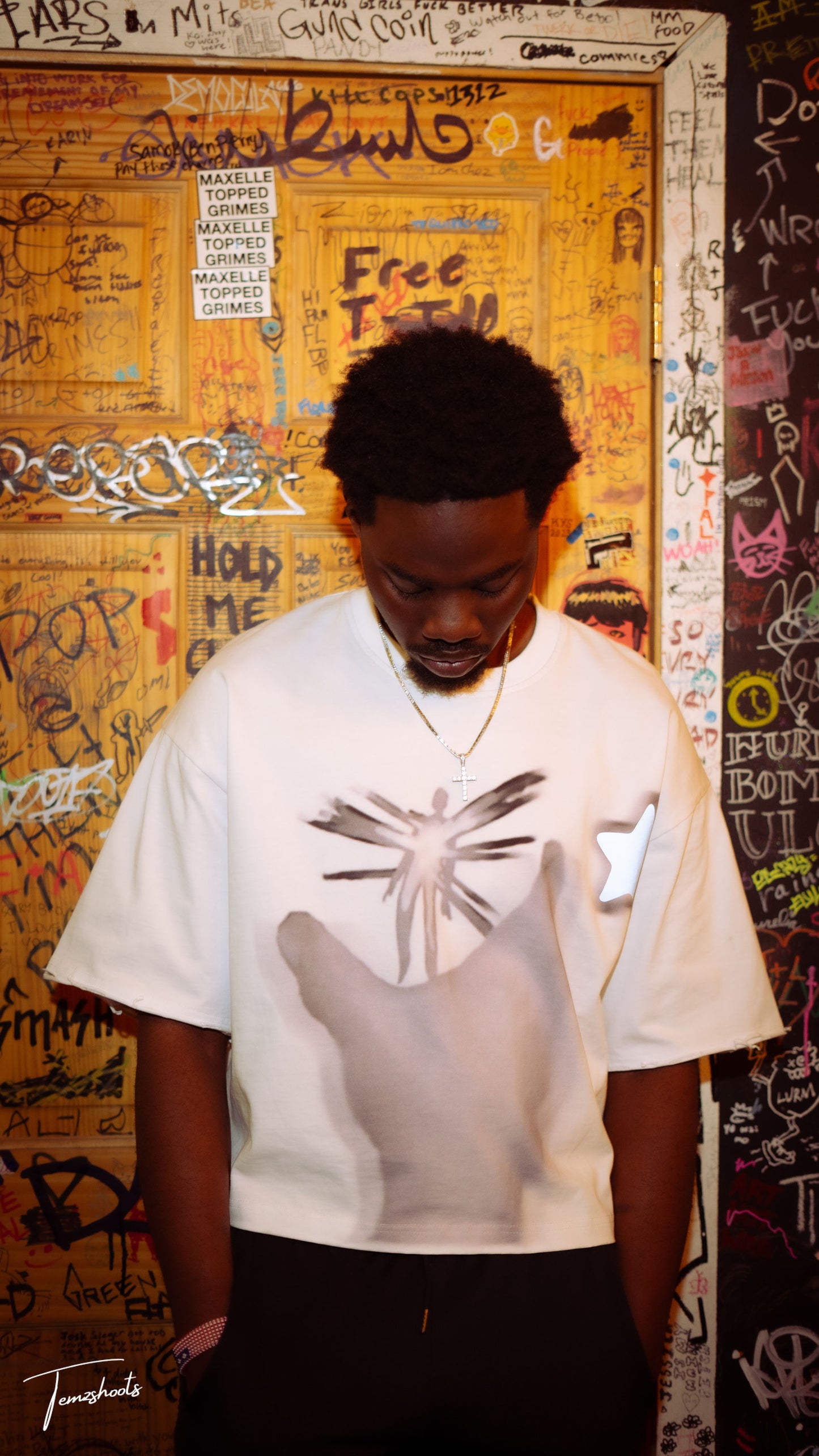 "THE TRUTH WILL SET YOU FREE' T-Shirt *WHITE*